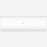 - Haier Coral DC AS25HPL2HRA