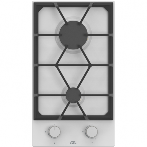 �������� ����������� ATL 1 TB 30 WH MSGD